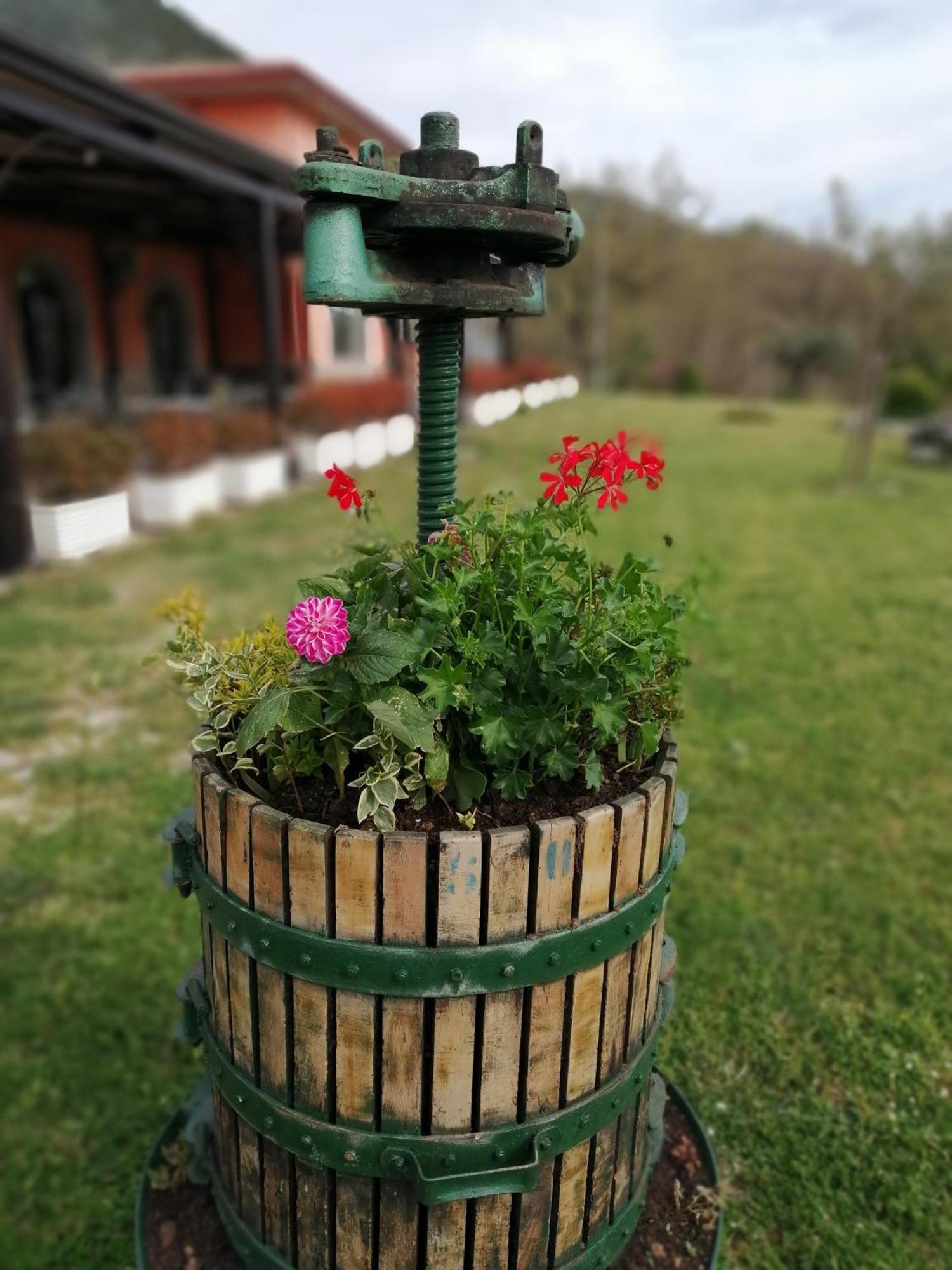 Salisu Country House Mignano Monte Lungo Exterior photo